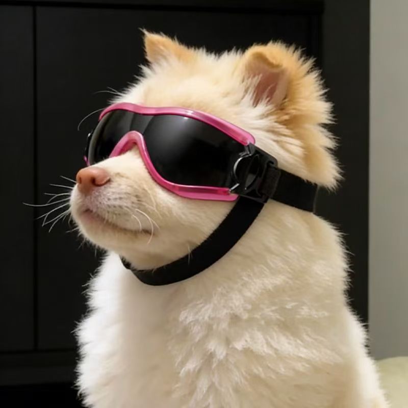 Dog Goggles for Small Medium D - Sunglass Retainer Cord 评论和价格